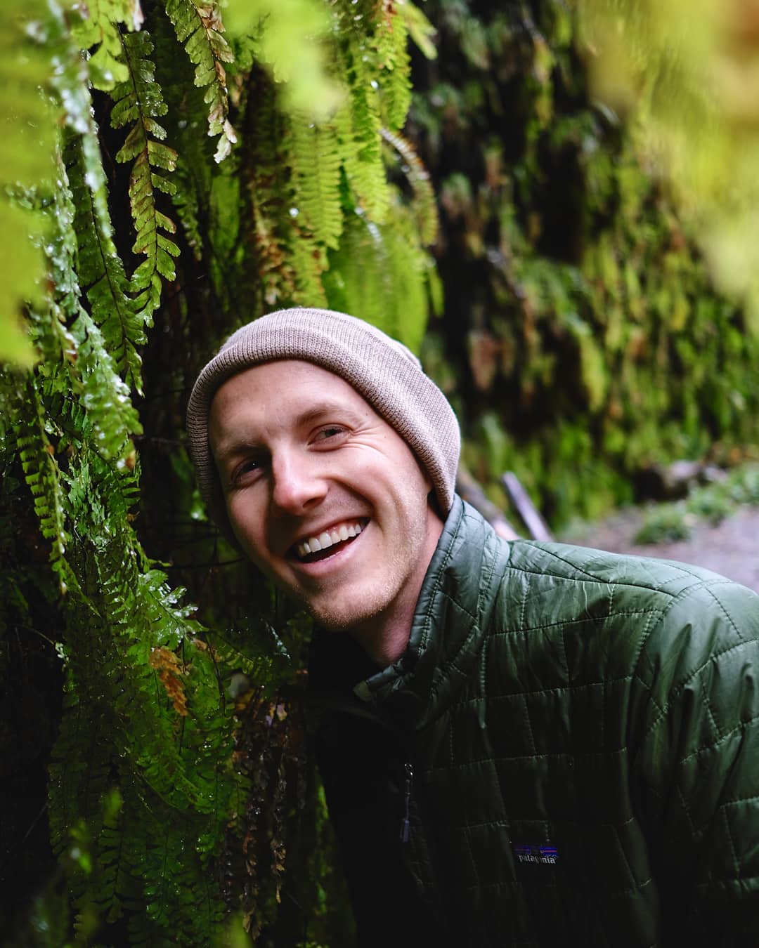 - Staffdna van life-fern canyon-california-prarie creek redwoods state park