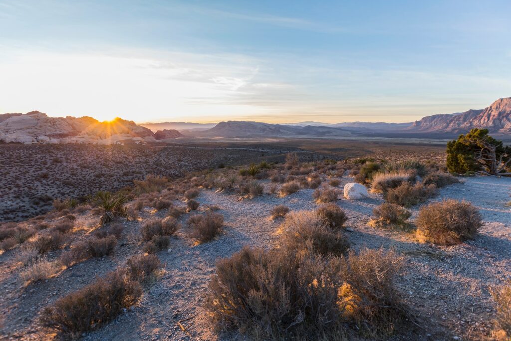 Albuquerque-New-Mexico